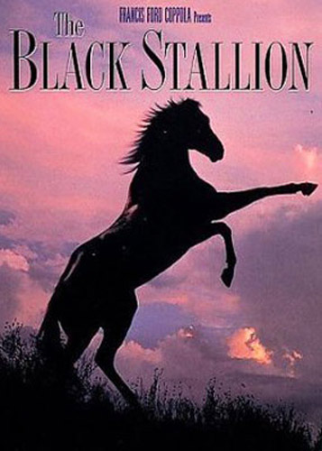 THE Black Stallion DVD NEW 1979 Kelly Reno | eBay